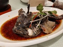 -双井轩(双井店)