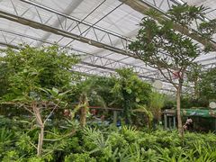 -南宫五洲植物乐园