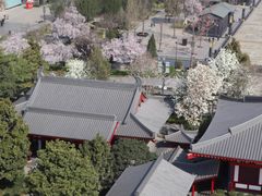 -大慈恩寺(大雁塔)