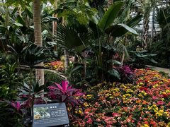 -北京植物园-展览温室