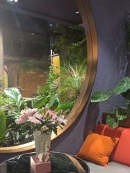 -花隐·美芙炫海菲秀皮肤管理中心