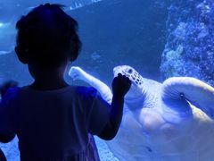 -嘉兴海底世界
