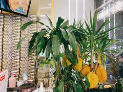 -猫王榴莲世家(三里屯SOHO商场店)