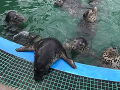 -北戴河圣蓝海洋公园