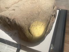 -东京国立博物馆