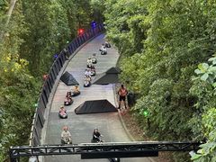 -圣淘沙天际线斜坡滑车