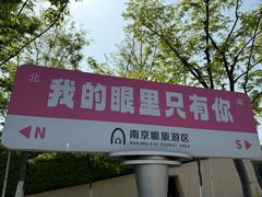 -南京眼步行桥
