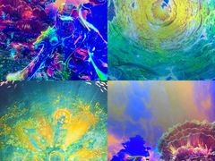 -海合安天津极地海洋公园