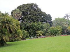 -墨尔本皇家植物园