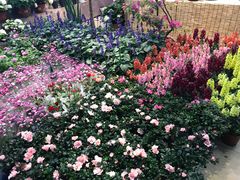 -双季花艺园艺市场(浦东店)