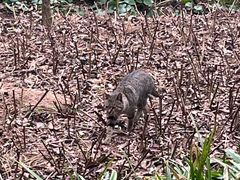 -普陀山慧济禅寺