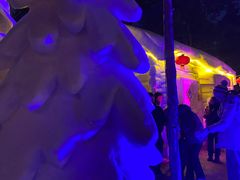 -长春市南湖公园