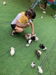 -萌宠亲子动物乐园(槐房万达店)