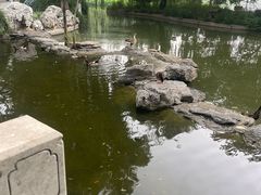 -莲花池公园