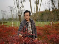 -洨河生态公园