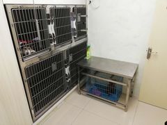 -宠颐生宠物医院·骨外科·犬猫全科诊疗中心(池州店)