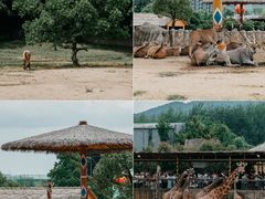 -杭州野生动物世界