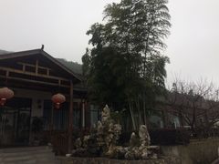 -呼吸森林·生态农庄农家乐私房菜