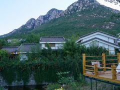 -禅宗少林·音乐大典