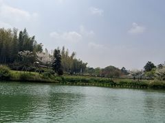 -宜兴龙背山森林公园