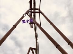 -飞天翼龙