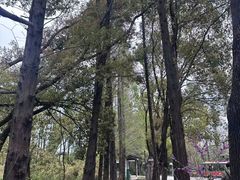 -同里国家湿地公园