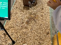 -怪兽屋·羊驼·猫咖·狗咖(俊华广场店)