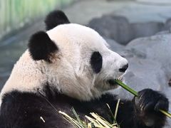 -秦皇岛野生动物园