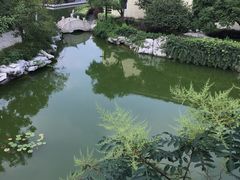 -口岸雕花楼