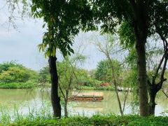 -荔湾湖公园