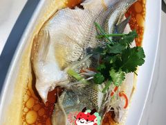 -粤香村(清真川菜店)