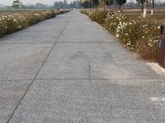 -汉长安城未央宫国家考古遗址公园