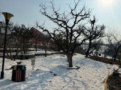 -蓟洲国际滑雪场