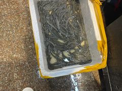 -大老王餐馆