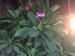 -老福洲(西洪路店)