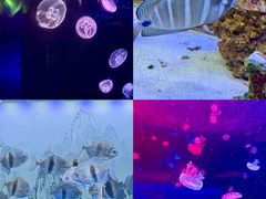 -大明湖海底世界