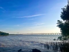 -宝安西湾红树林湿地公园