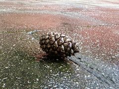 -大钟寺古钟博物馆