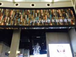 -J-Flying艺术形象设计