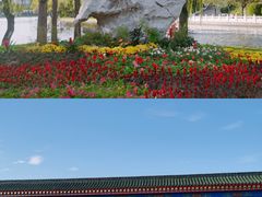 -莱西月湖公园