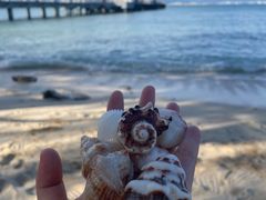 -三亚西岛海洋文化旅游区