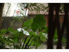 -行人小筑·茶馆(岑村火炉山分店)