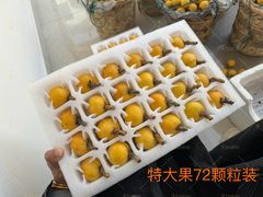 -东山风景区(洞庭东山)