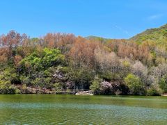 -玉渡山自然风景区
