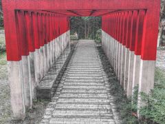 -重庆彩云湖湿地公园