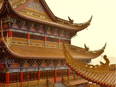 -东莞市大岭山森林公园