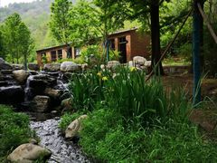 -白水寺森林公园