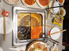 -海底捞火锅(赛格国际购物中心店)