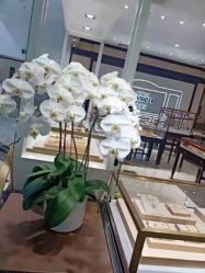 -Leysen莱绅通灵珠宝(美罗百货店)