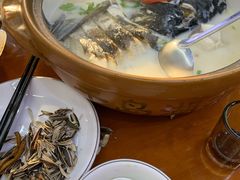 -全乐鱼馆·淳牌有机鱼直营店